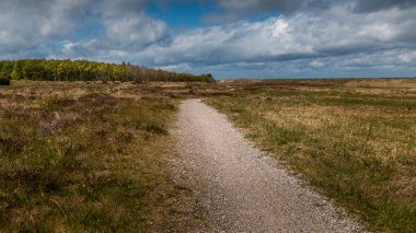 Yüksek otlar ve sahile inen bir patika. Arka planda küçük bir orman. Gerrild Sahili.