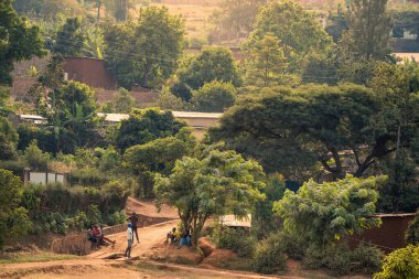 Kigali, Rwanda - July 26, 2018: View of bakclit trees and dirt paths on a hillside in Nyamirambo, an outlying, semi-rural suburb of Kigali, Rwanda clipart