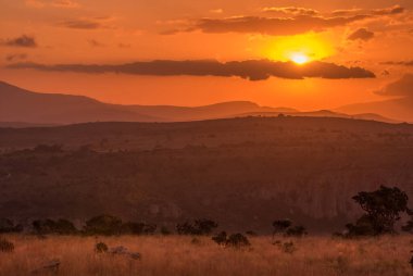 Tepeler üzerinde altın turuncu bir gün batımı ve Güney Afrika, Mpumalanga 'daki Blyde Nehri Kanyonu' nda savana.