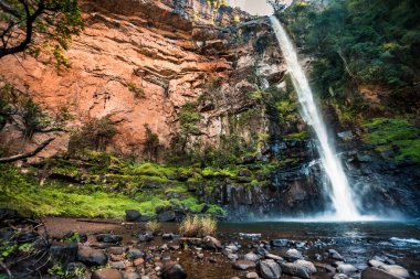 Güney Afrika 'daki Lone Creek Şelalesi' ndeki parlak yeşil yosun ve eğreltiotlarıyla büyük kırmızı kayalık yüzeyi çelişiyor.