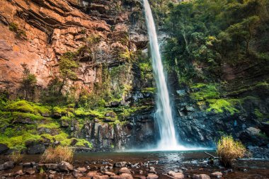 Lone Creek Şelalesi 'nin geniş manzarası Güney Afrika; kızıl kayalıkları ve canlı yeşillikleri olan yüksek ince bir şelale.