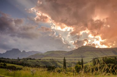 Winterton, KwaZulu-Natal, Güney Afrika yakınlarındaki Drakensberg şehir merkezinde çimenli bir ön planda ve renkli bir günbatımına sahip Champagne Castle dağının panoramik manzarası.