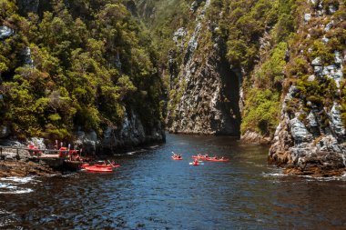 A group of people in Kayaks setting out on a tour up Storms River gorge from Storms River Mouth in Tsitsikamma along the Garden Route, South Africa clipart