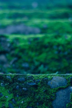 Güney Afrika, Mpumalanga 'daki Bourkes Şans Çukurları' nın geniş bir görüntüsü: suyun hareketinin oluşturduğu jeolojik bir oluşum.