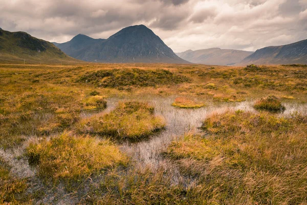 Mavi siluet Buachaille Etive Mor uzakta fırtınalı bir gökyüzü altında, bataklık suları ve çimenler ön planda. Glencoe, İskoçya İskoçya, Birleşik Krallık