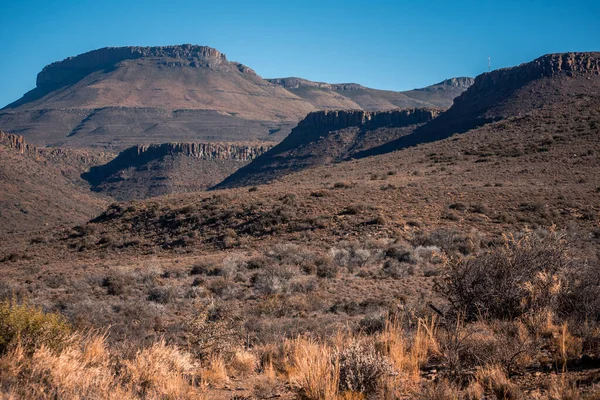 Het Droge Dorre Landschap Heuvels Van Het Karoo National Park — Stockfoto