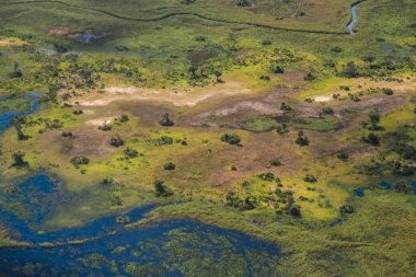 Okavango Deltası, Botswana 'daki yemyeşil bitki örtüsünün, suyun ve karanın girdap şeklini gösteren bir hava görüntüsü.