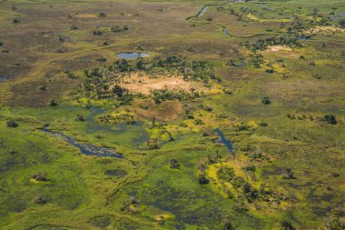 Botsvana 'daki Okavango Deltası' nın yemyeşil bitki örtüsünün hava manzarası.