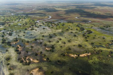 Okavango Deltası, Botswana 'daki yemyeşil bitki örtüsünün, suyun ve karanın girdap şeklini gösteren bir hava görüntüsü.