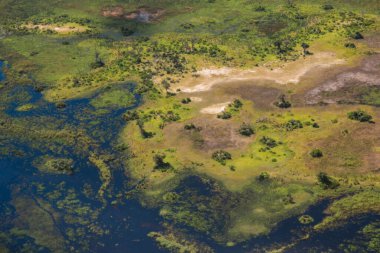 Okavango Deltası, Botswana 'daki yemyeşil bitki örtüsünün, suyun ve karanın girdap şeklini gösteren bir hava görüntüsü.