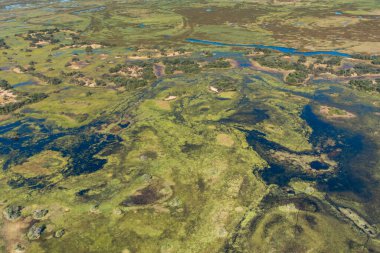 Okavango Deltası, Botswana 'daki yemyeşil bitki örtüsünün, suyun ve karanın girdap şeklini gösteren bir hava görüntüsü.