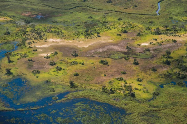 Aerial View Capturing Swirling Patterns Lush Vegetation Water Land Okavango — Stock Photo, Image