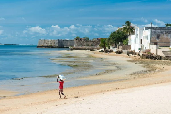 Fort San Sebastian Een Zonnige Dag Onder Blauwe Hemel Mozambique — Stockfoto