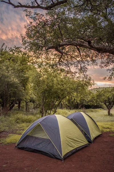 Two Tents Pitched Campsite Tree Sunset Umkhuze Game Reserve Isimangaliso — Stock Photo, Image