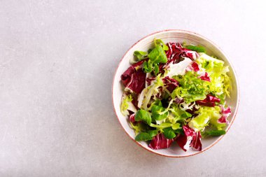 Karışımı salata yaprakları ve bir kase içinde gri arka plan otlar