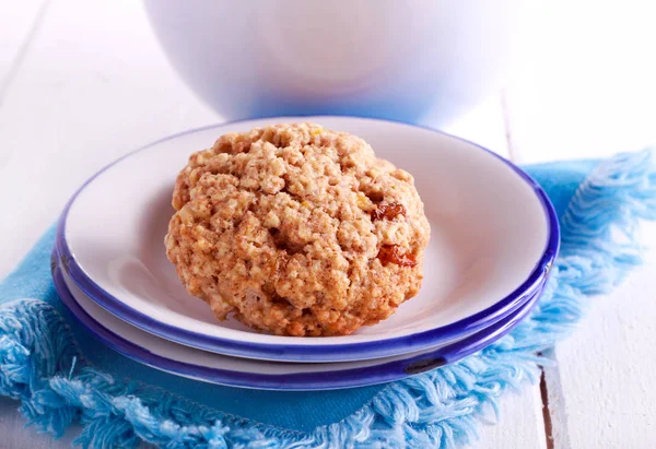 Yulaf ve kuru üzüm bisküvi — Stok fotoğraf