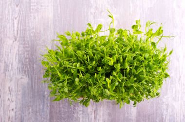Bezelye sebze, microgreen lahanası 