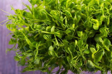 Bezelye sebze, microgreen lahanası