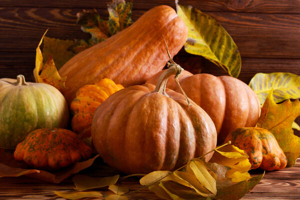 Осенний натюрморт с тыквами