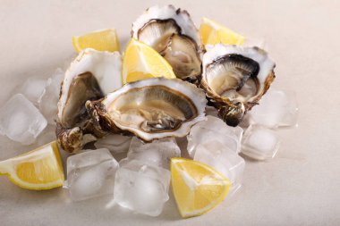 limon taze istiridye 