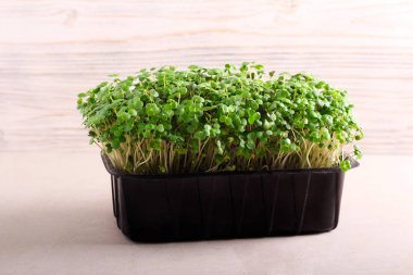 Mikro otlar, tere salatası. 