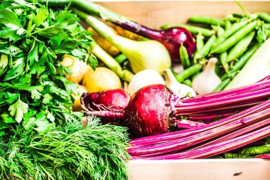 Taze organik sebze mezarda. Sağlıklı yaşam tarzı ve r