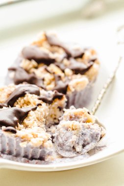 Çiğ vegan fındık tatlı yaban mersini, Hindistan cevizi ve çikolata. H