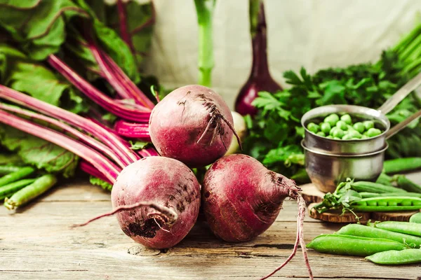 Closeup of freshly harvested vegetables (turnips, beetroots, car — Stock Photo, Image