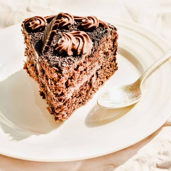 Piece of  Freshly made delicious chocolate cake on a sunlight wh — 스톡 사진