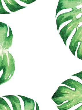 Düğün, doğum günü ve parfümler için beyaz zemin üzerinde tropikal yaprak canavarı olan suluboya çerçeve