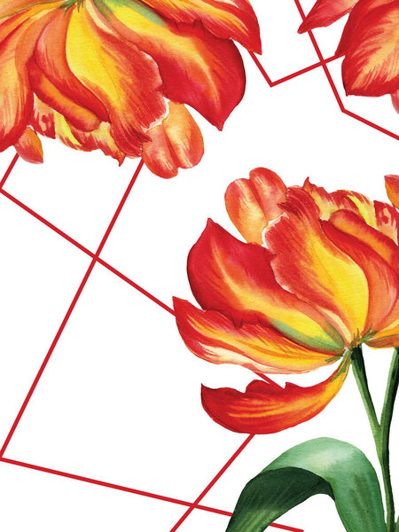 акварель с цветами тюльпана на белом фоне в зеленом и оранжевом, свадьба, текстиль, бумага
