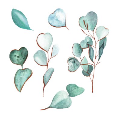 okaliptüs yaprakları suluboya, altın çizgiler, altın çerçeve, düğün, parfüm, yeşil, narin, akvaryum, aromaterapi, kır çiçeği, hatıra defteri, kağıt, süs eşyası