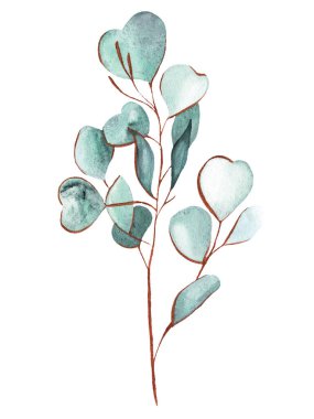 okaliptüs yaprakları suluboya, altın çizgiler, altın çerçeve, düğün, parfüm, yeşil, narin, akvaryum, aromaterapi, kır çiçeği, hatıra defteri, kağıt, süs eşyası