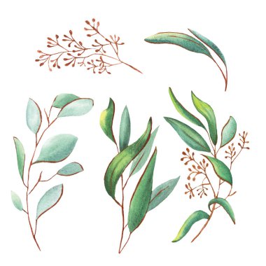 okaliptüs yaprakları suluboya, altın çizgiler, altın çerçeve, düğün, parfüm, yeşil, narin, akvaryum, aromaterapi, kır çiçeği, hatıra defteri, kağıt, süs eşyası
