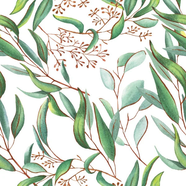 eucalyptus leaves watercolor, gold lines, gold frame, wedding, perfume, green,delicate, aquarelle, aromatherapy, wildflower, scrapbook, paper, ornament element