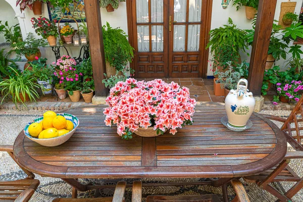 Picturesque view of center table of traditional Spanish festival with Open Patios in Cordoba. Andalusia. Spain.