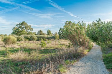 Ağız Guadalhorce Nehri 'nin Doğal Parkı' nın manzarası. Costa del Sol. Malaga. İspanya.