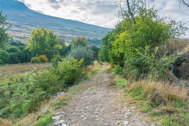 Ünlü Riofrio 'daki orman yolu. Granada. İspanya.