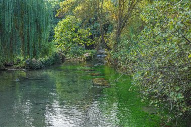 Ünlü Riofrio Nehri 'nin resimli manzarası. Granada. İspanya.