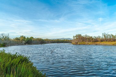 Ağız Guadalhorce nehrinin doğal parkı. Costa del Sol. Malaga. İspanya.