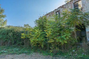 Ünlü Riofrio 'daki harabelerin resimli görüntüsü. Granada. İspanya.