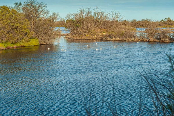 Vista Del Parco Naturale Del Fiume Mouth Guadalhorce Costa Del — Foto Stock