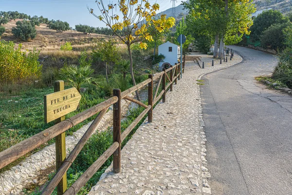 Splendida Vista Della Recinzione Legno Nel Famoso Riofrio Granada Spagna — Foto Stock