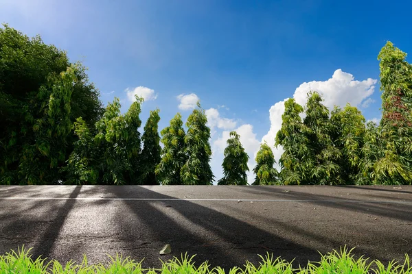 Yol ve doğada güzel manzara