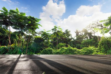 Mükemmel park ve gündoğumu doğada