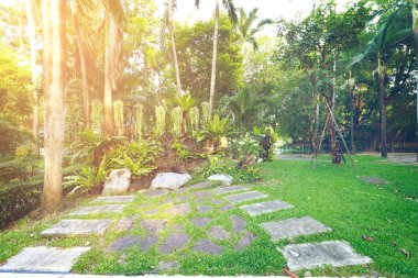 Mükemmel park ve gündoğumu doğada