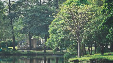 Landscapse doğa ve günbatımı Park