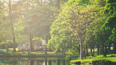 Landscapse doğa ve günbatımı Park