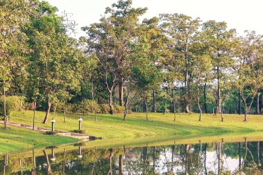 Landscapse doğa ve günbatımı Park