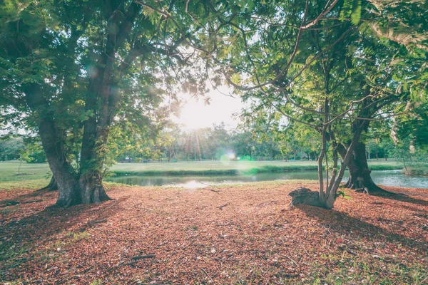 La naturaleza perfecta y la puesta de sol en el parque — Foto de Stock